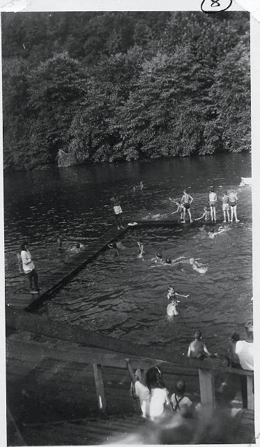 8.jpg - Swimming in Coal River
